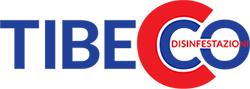 tibecco.it