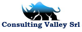 consultingvalley.it